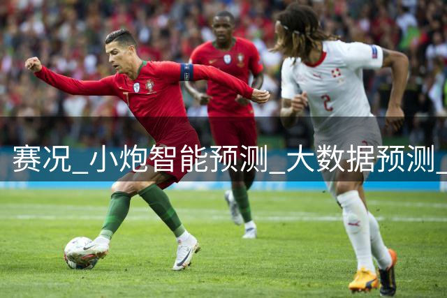 赛况_小炮智能预测_大数据预测_彩票预测-新浪彩通